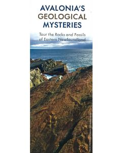 Avalonia's Geological Mysteries 2024
