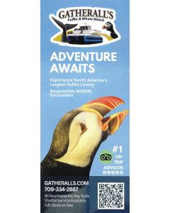 Gatherall's Puffin & Whale Watch 2025