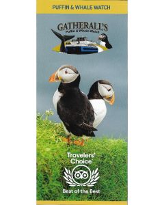 Gatherall's Puffin and Whale Watch 2023
