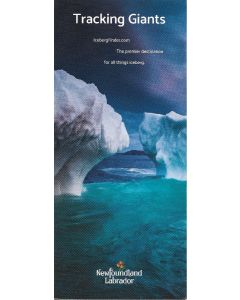 Iceberg Finder – Tracking Giants