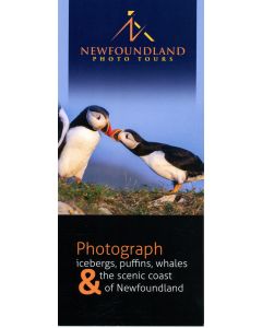 Newfoundland Photo Tours