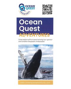 Ocean Quest Adventure