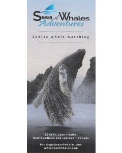 Sea of Whales Adventures 2023